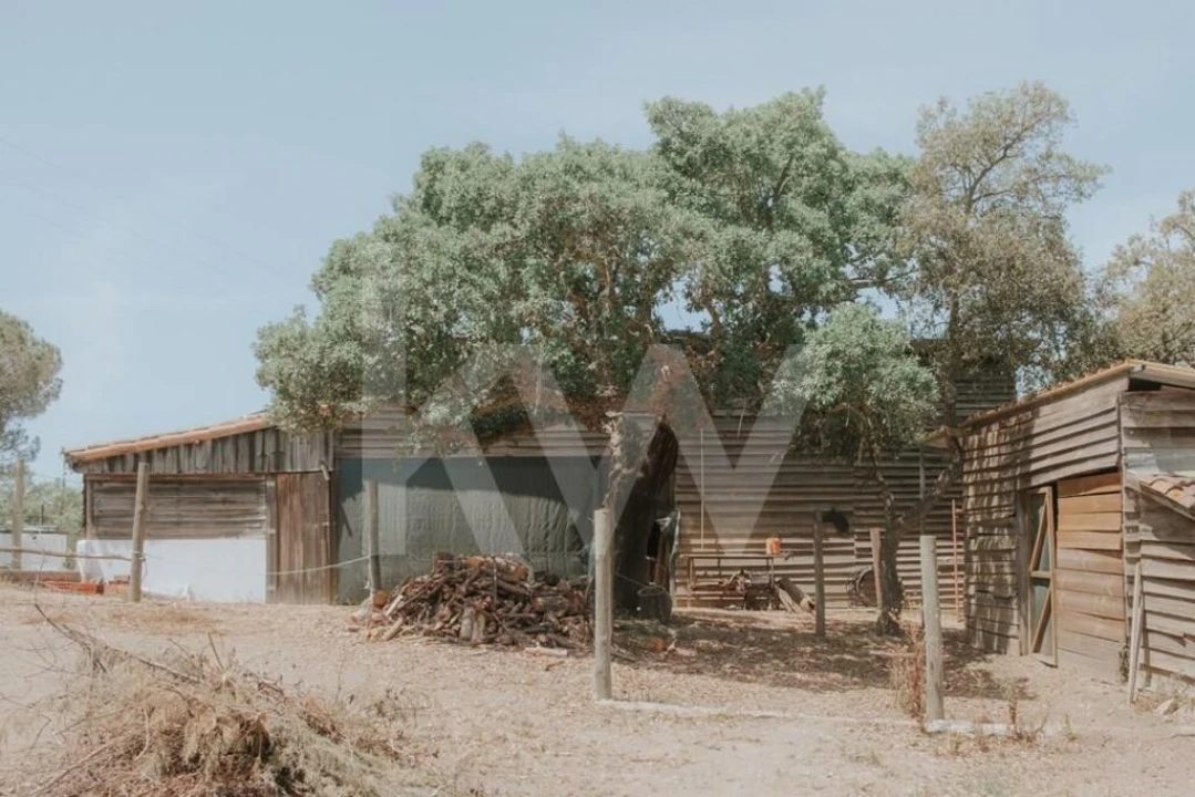 Quinta T5 para Venda em Melides Foto 44