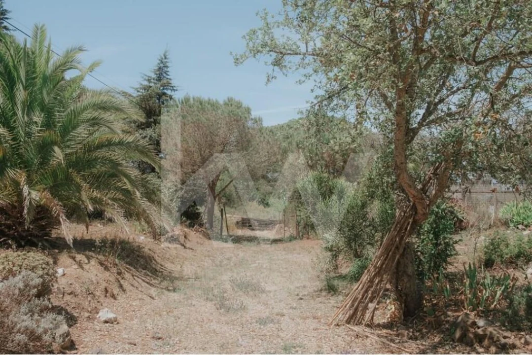 Quinta T5 para Venda em Melides Foto 32