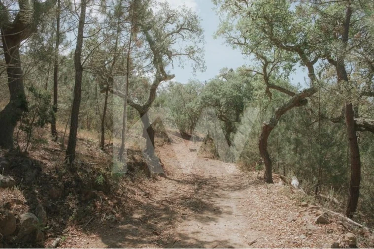 Quinta T5 para Venda em Melides Foto 45