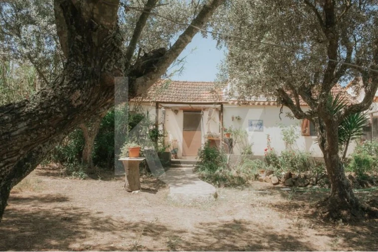 Quinta T5 para Venda em Melides Foto 19