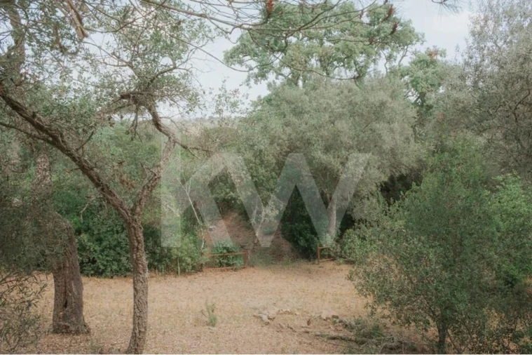 Quinta T5 para Venda em Melides Foto 10