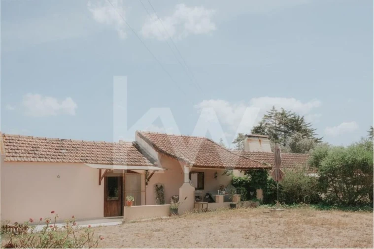 Quinta T5 para Venda em Melides Foto 31