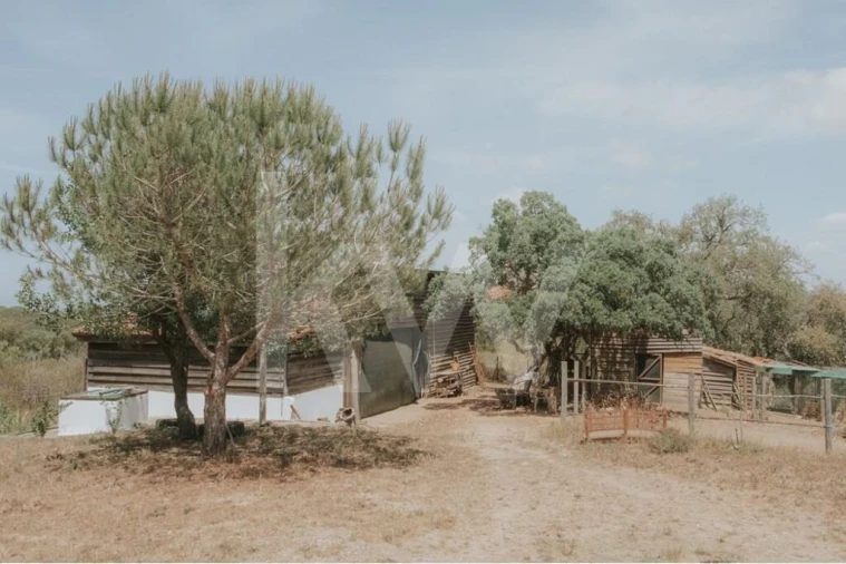 Quinta T5 para Venda em Melides Foto 38