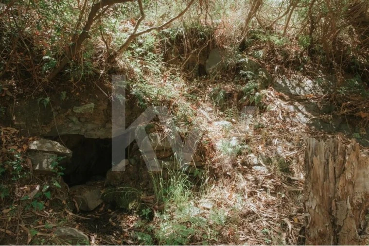 Quinta T5 para Venda em Melides Foto 6