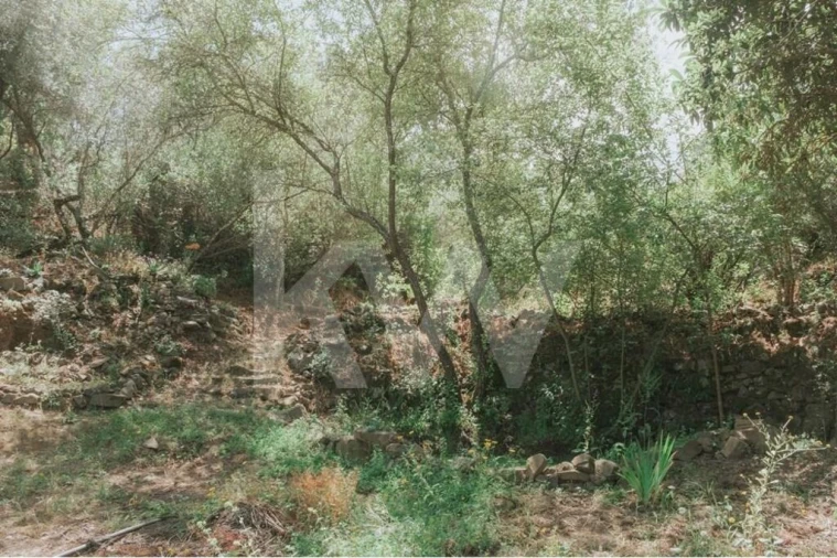 Quinta T5 para Venda em Melides Foto 39