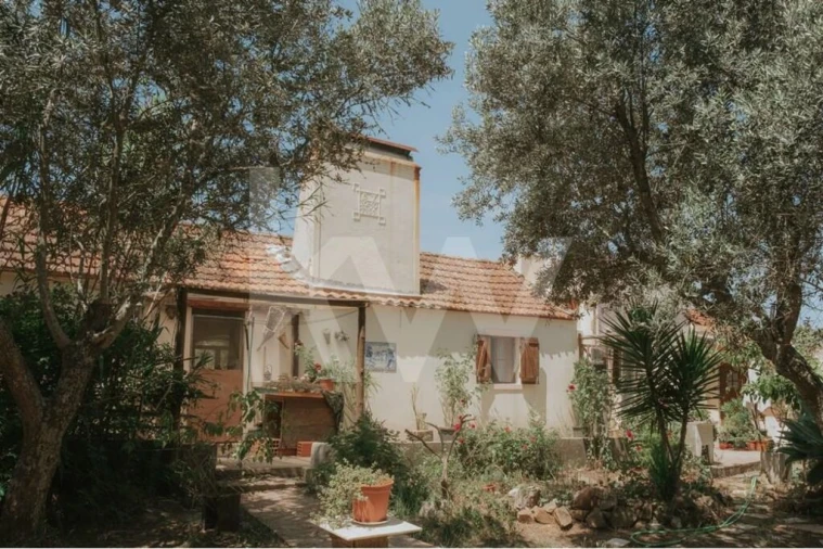 Quinta T5 para Venda em Melides Foto 21