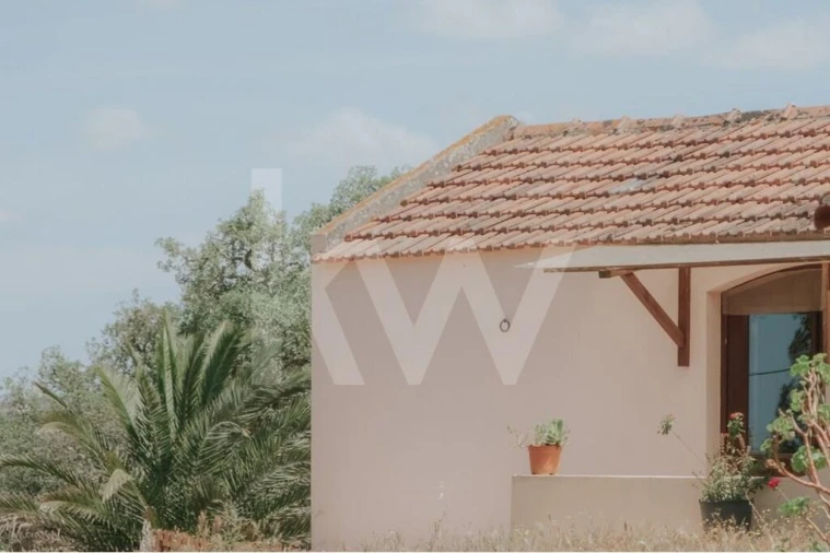 Quinta T5 para Venda em Melides Foto 3