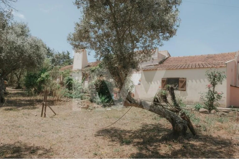 Quinta T5 para Venda em Melides Foto 29