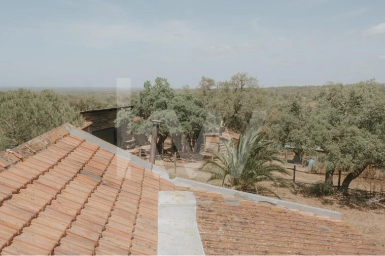 Quinta T5 para Venda em Melides Foto 25