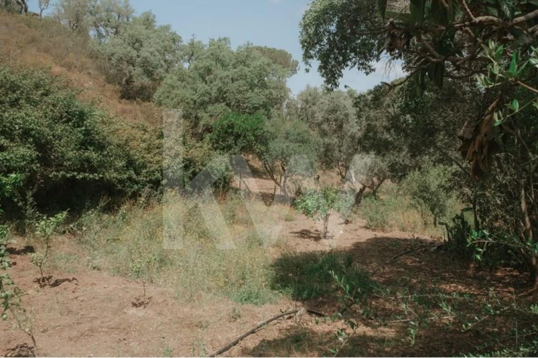 Quinta T5 para Venda em Melides Foto 9