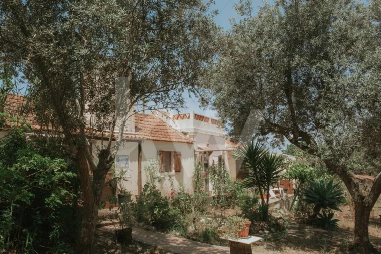 Quinta T5 para Venda em Melides Foto 23