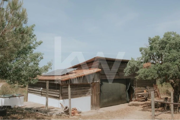 Quinta T5 para Venda em Melides Foto 35