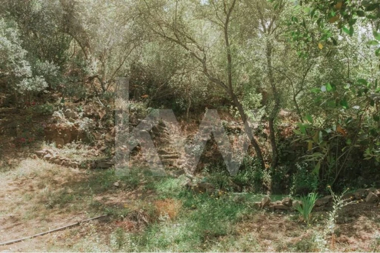 Quinta T5 para Venda em Melides Foto 40