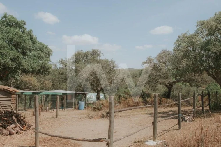 Quinta T5 para Venda em Melides Foto 41