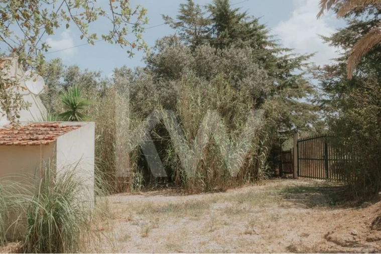 Quinta T5 para Venda em Melides Foto 42