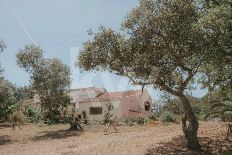 Quinta T5 para Venda em Melides Foto 13