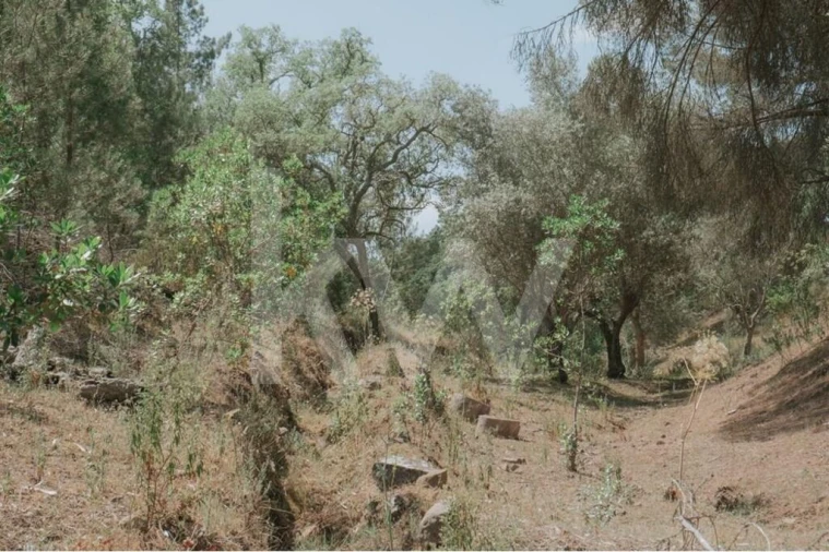 Quinta T5 para Venda em Melides Foto 54