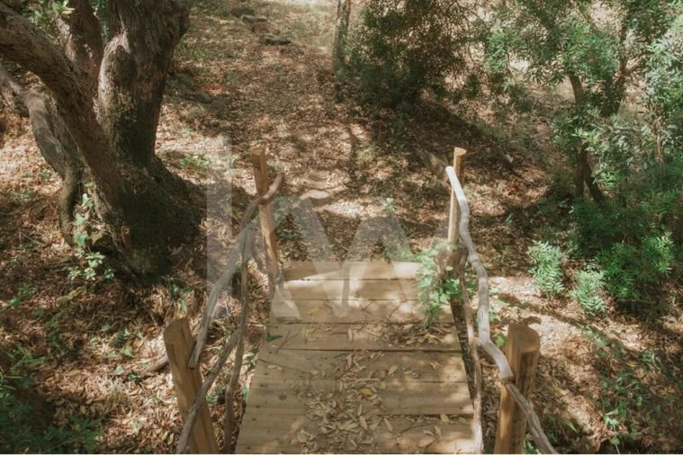 Quinta T5 para Venda em Melides Foto 22