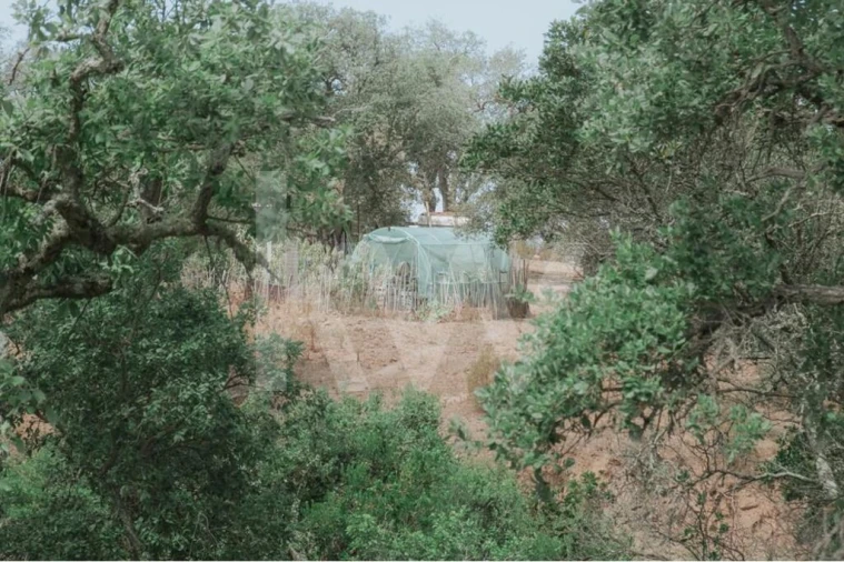 Quinta T5 para Venda em Melides Foto 46