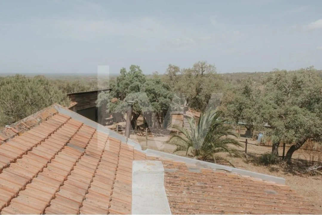 Quinta T5 para Venda em Melides Foto 25