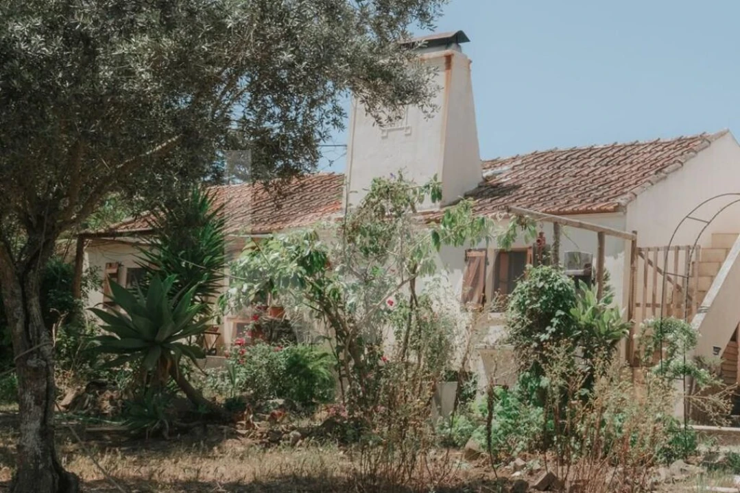 Quinta T5 para Venda em Melides Foto 26