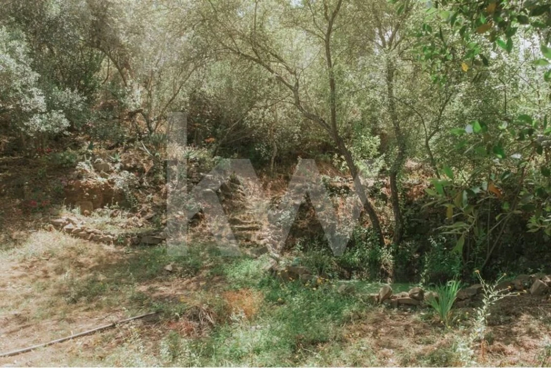 Quinta T5 para Venda em Melides Foto 40