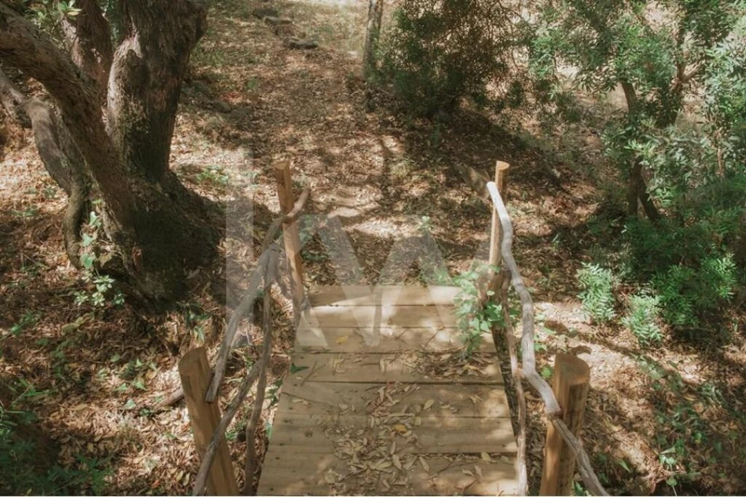 Quinta T5 para Venda em Melides Foto 22