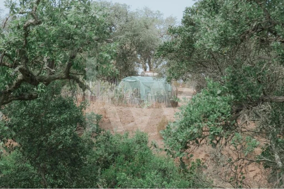 Quinta T5 para Venda em Melides Foto 46