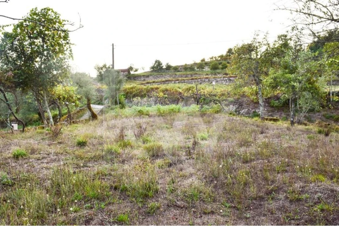 Moradia T3 para Venda em Rio Douro Foto 4