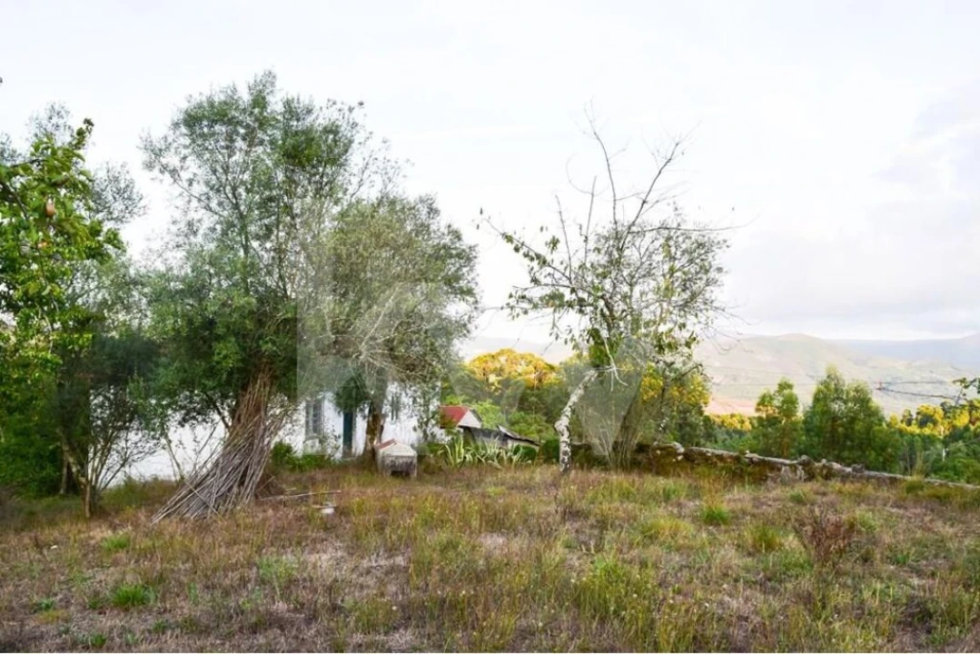 Moradia T3 para Venda em Rio Douro Foto 6