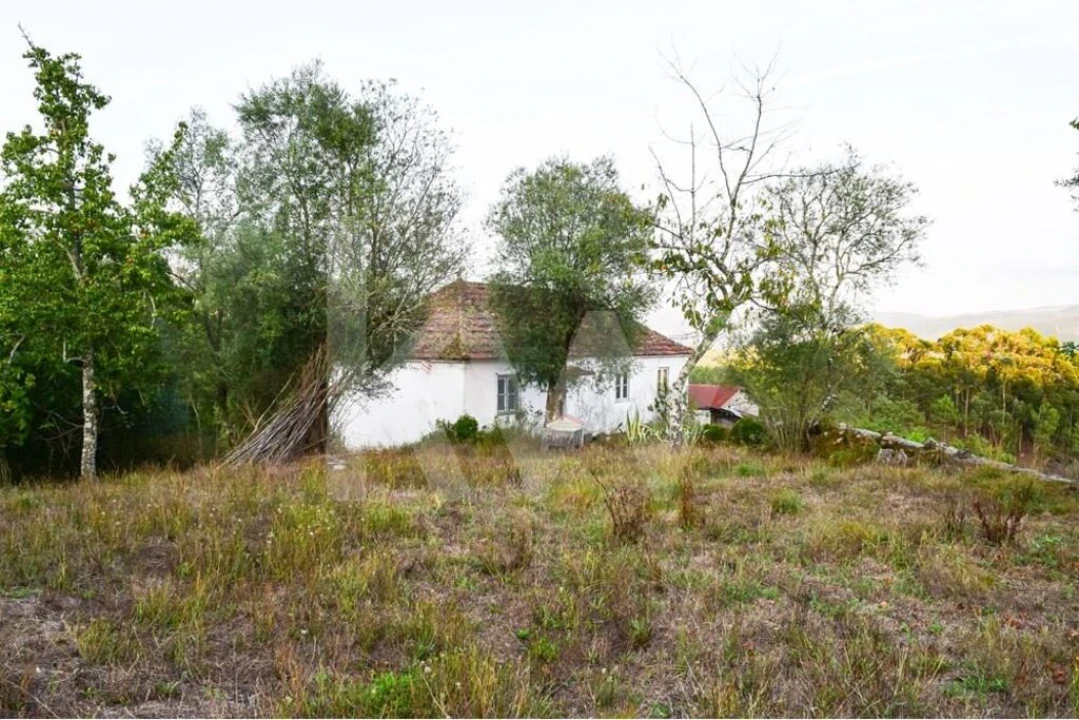 Moradia T3 para Venda em Rio Douro Foto 5