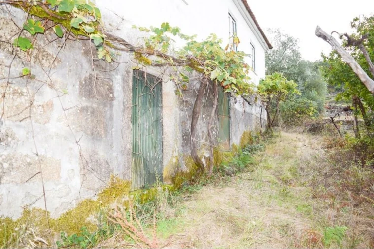 Moradia T3 para Venda em Rio Douro Foto 7