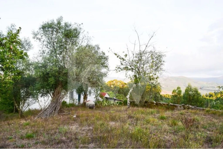 Moradia T3 para Venda em Rio Douro Foto 6