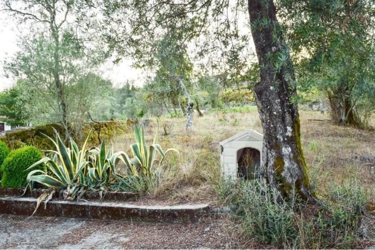 Moradia T3 para Venda em Rio Douro Foto 8