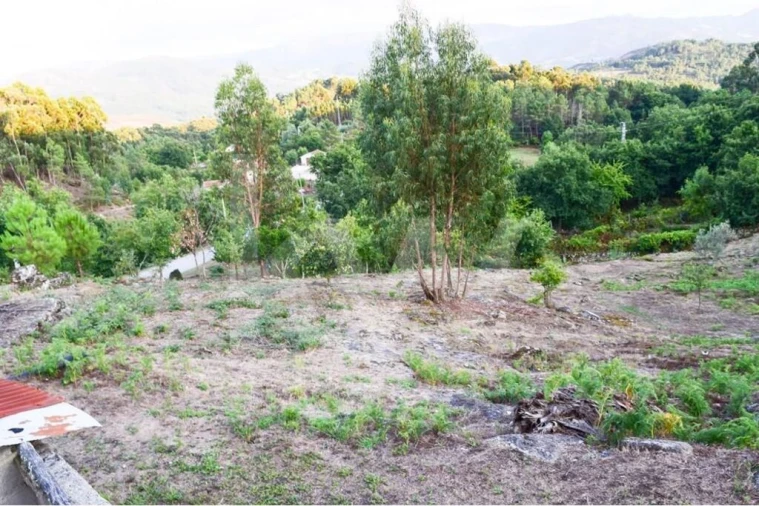 Moradia T3 para Venda em Rio Douro Foto 3