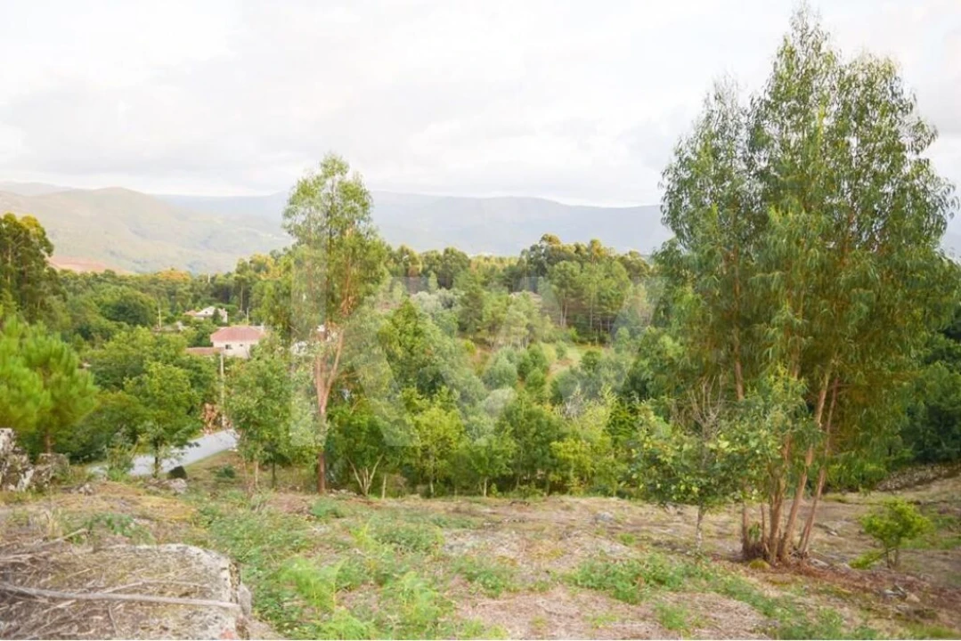 Moradia T3 para Venda em Rio Douro Foto 10