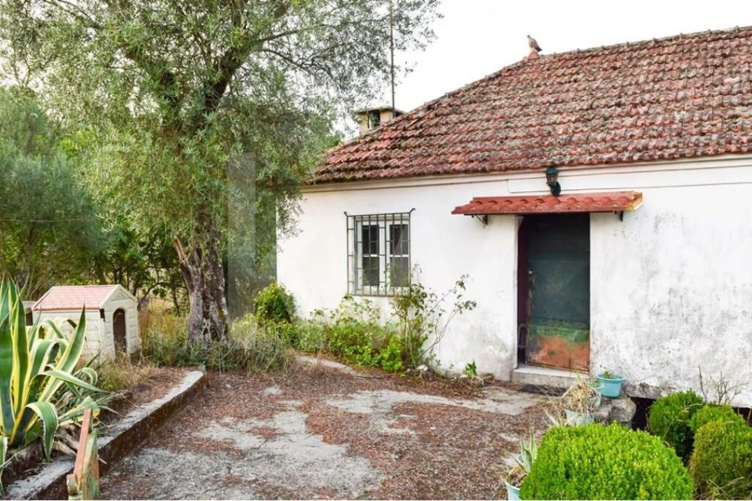 Moradia T3 para Venda em Rio Douro Foto 1