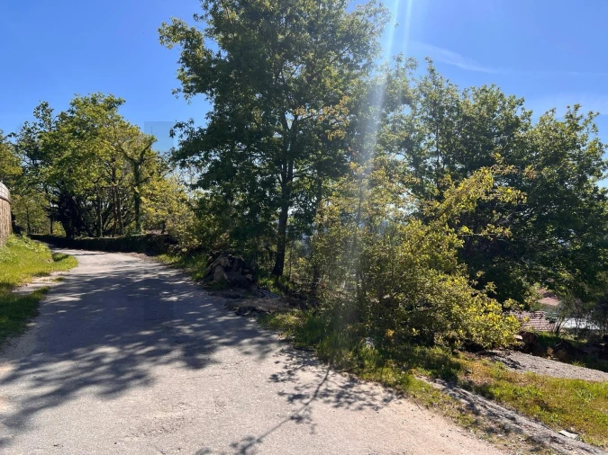 Terreno para Venda em Junqueira Foto 15