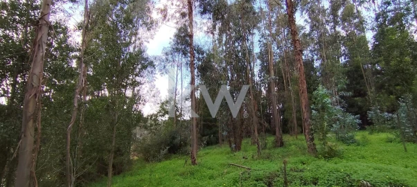 Terreno para Venda em Trouxemil e Torre de Vilela