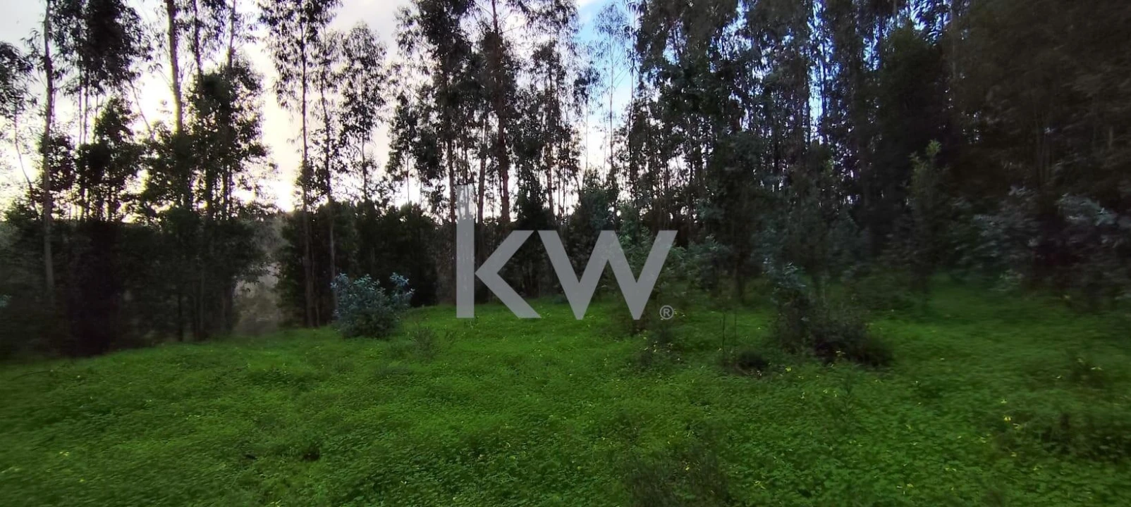 Terreno para Venda em Trouxemil e Torre de Vilela Foto 11