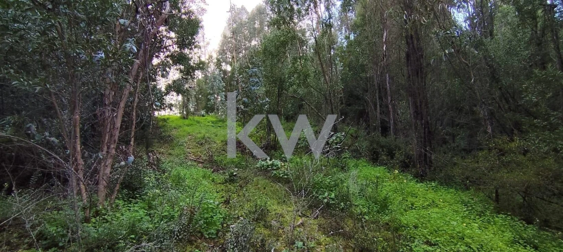 Terreno para Venda em Trouxemil e Torre de Vilela Foto 10