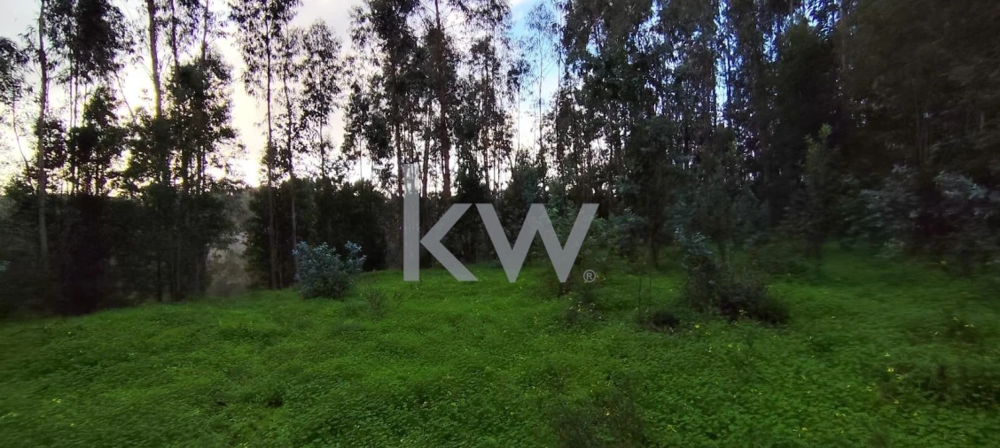Terreno para Venda em Trouxemil e Torre de Vilela Foto 11