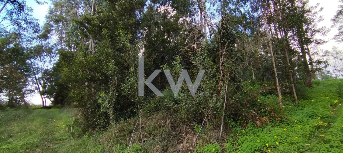 Terreno para Venda em Trouxemil e Torre de Vilela Foto 12
