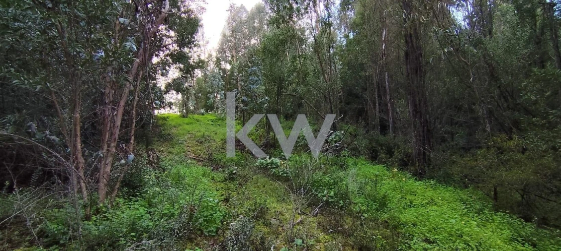 Terreno para Venda em Trouxemil e Torre de Vilela Foto 8