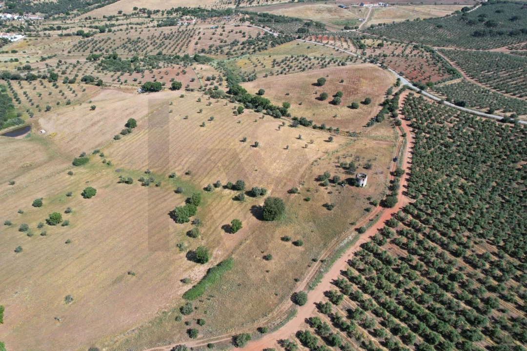 Terreno para Venda em Nossa Senhora de Machede Foto 8