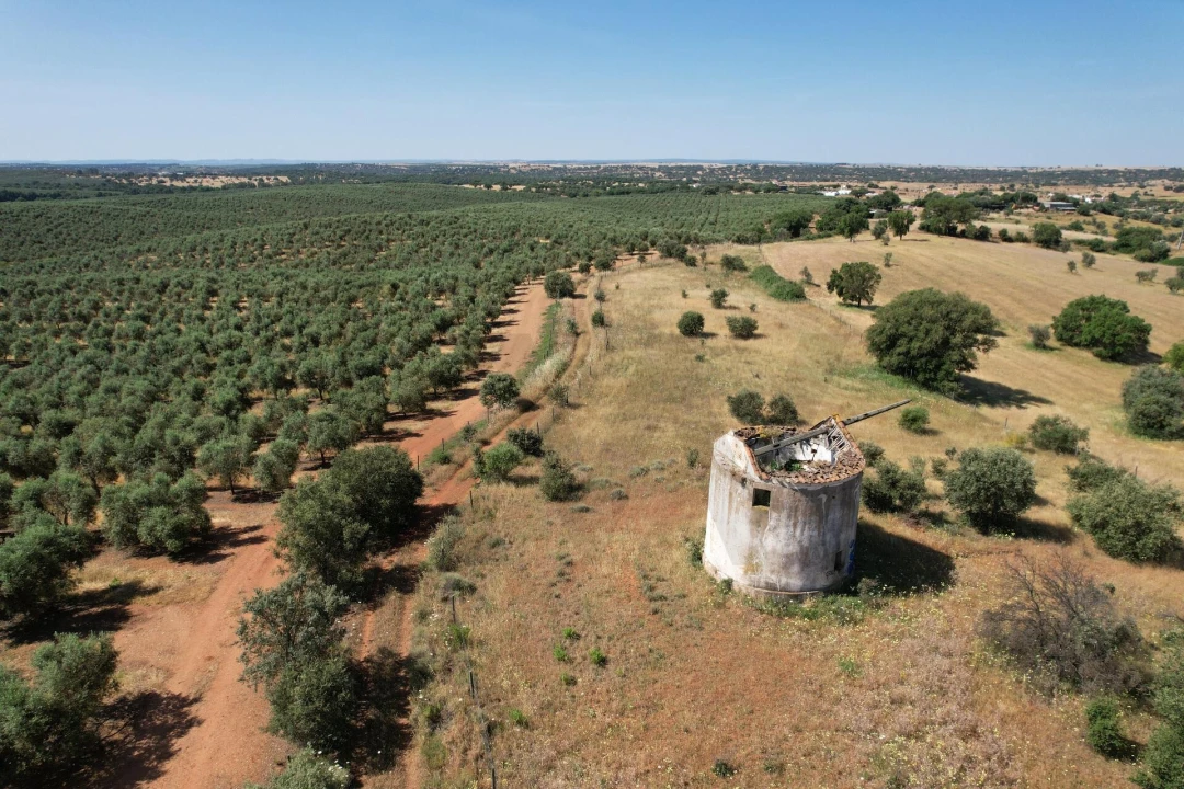 Terreno para Venda em Nossa Senhora de Machede Foto 4