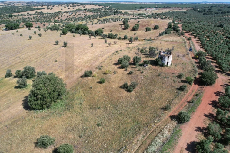 Terreno para Venda em Nossa Senhora de Machede Foto 10