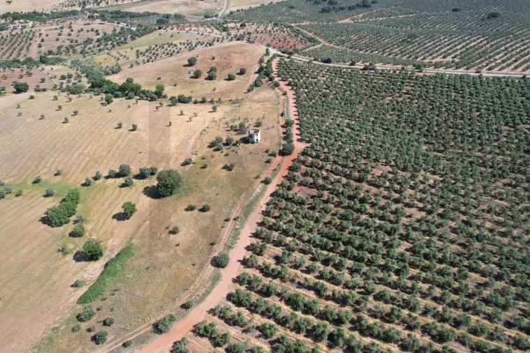 Terreno para Venda em Nossa Senhora de Machede Foto 9
