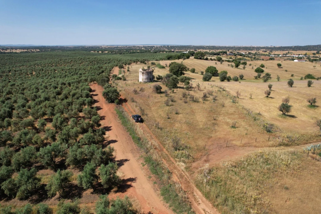 Terreno para Venda em Nossa Senhora de Machede Foto 12