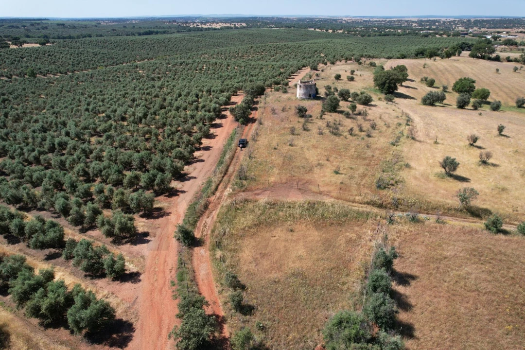 Terreno para Venda em Nossa Senhora de Machede Foto 14
